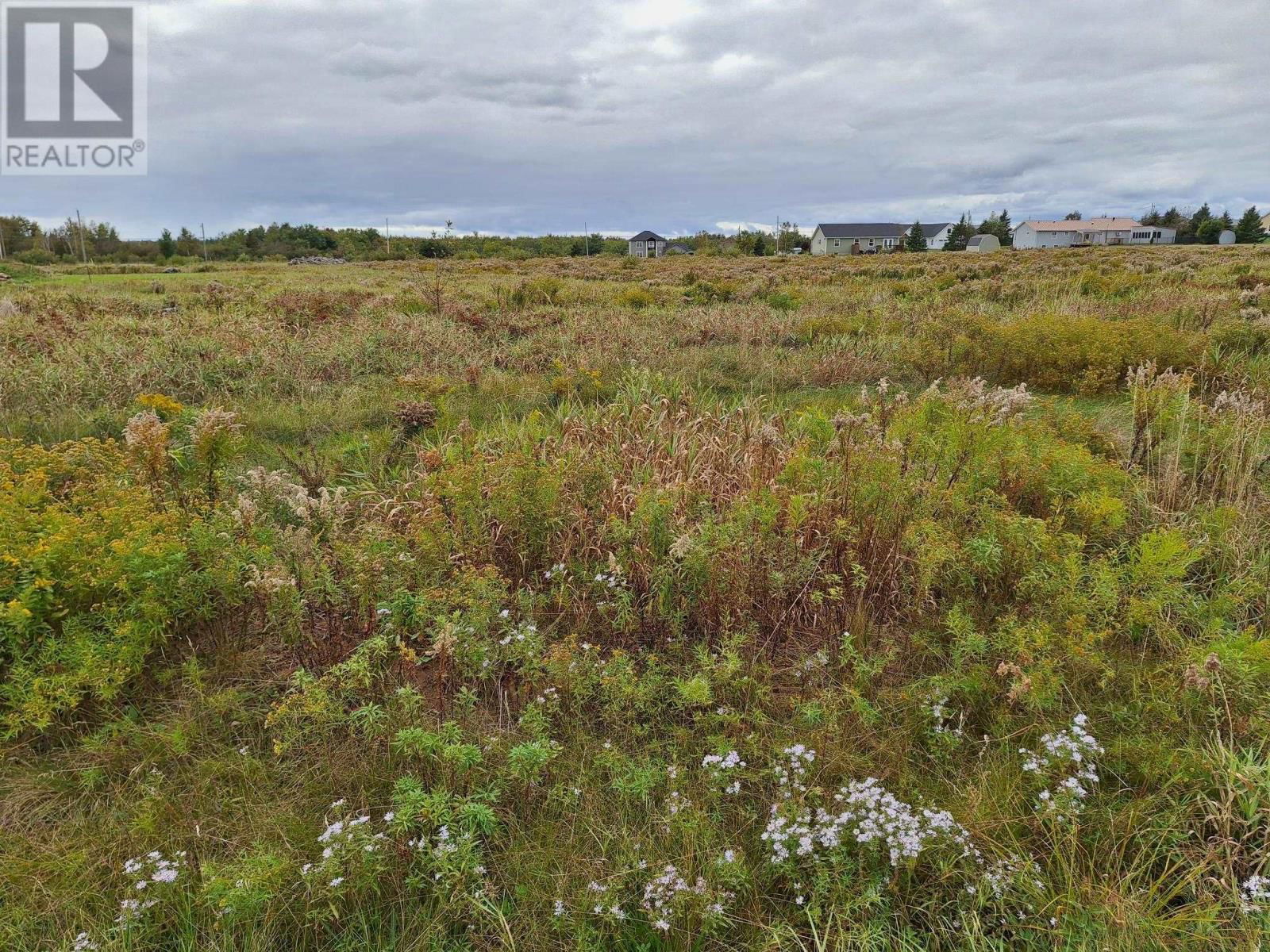 Primary Property View