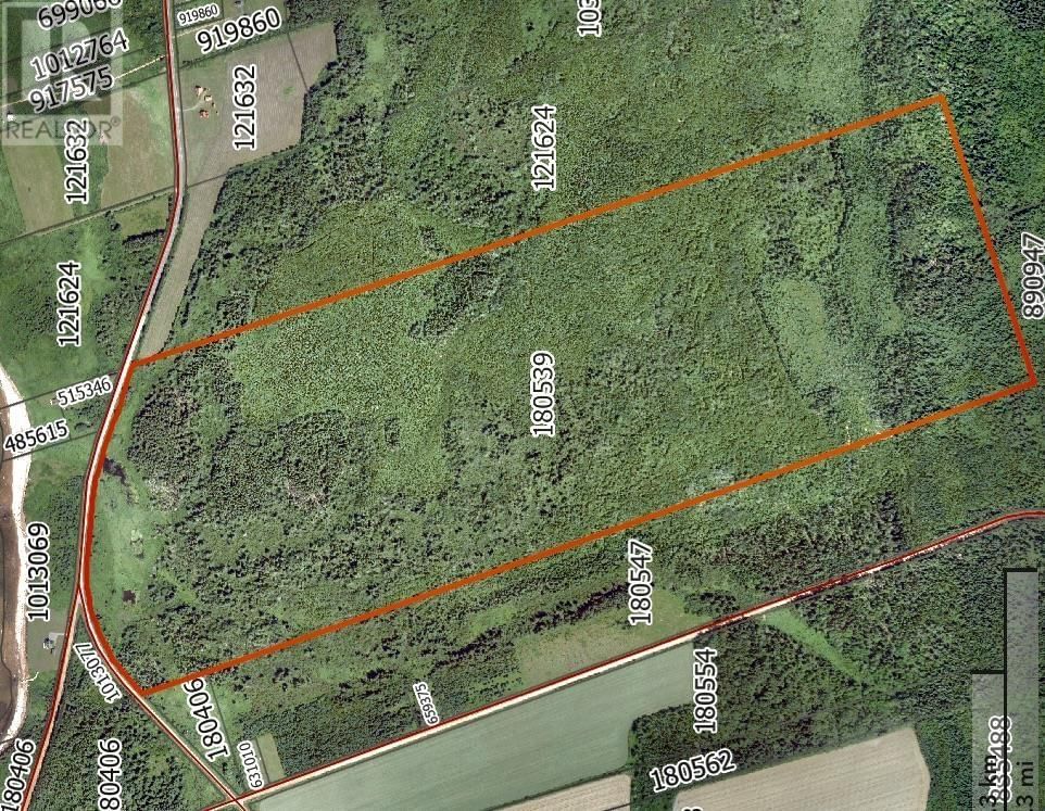 Primary Property View