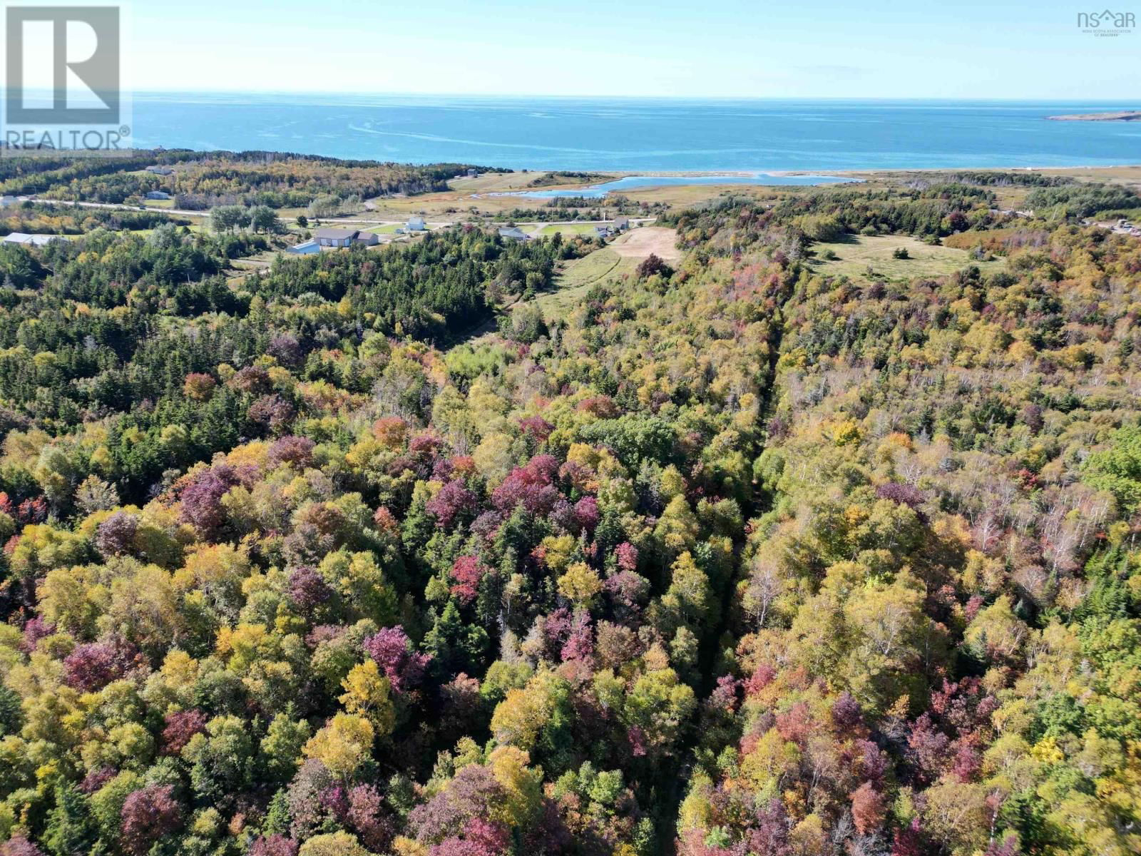 Primary Property View