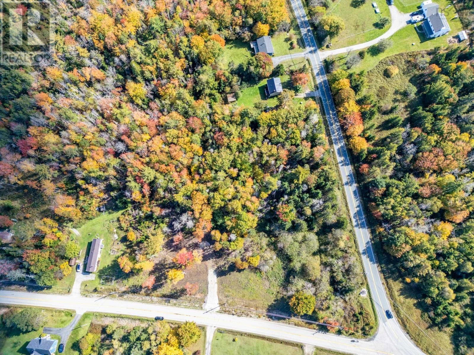 Primary Property View