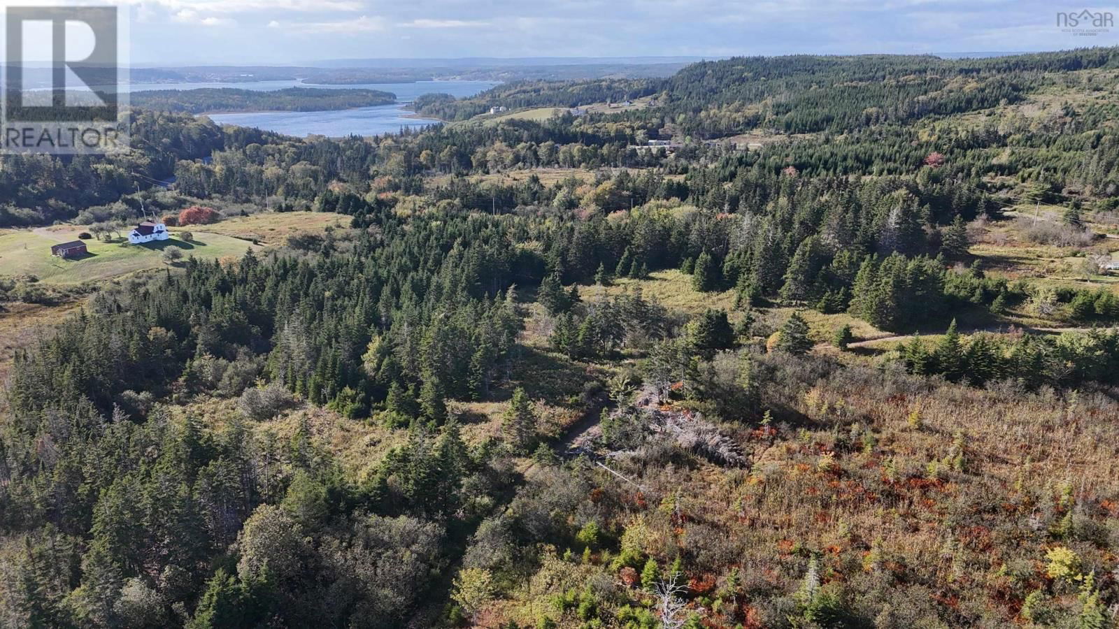 Primary Property View