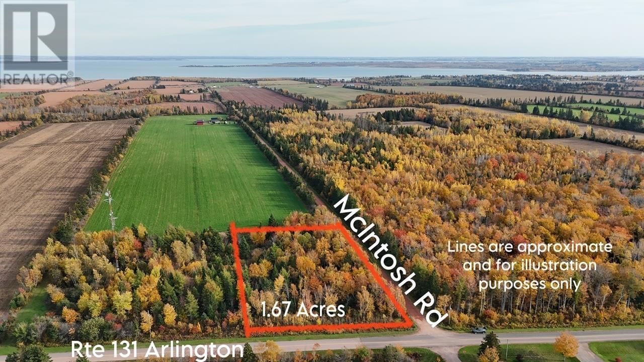Primary Property View