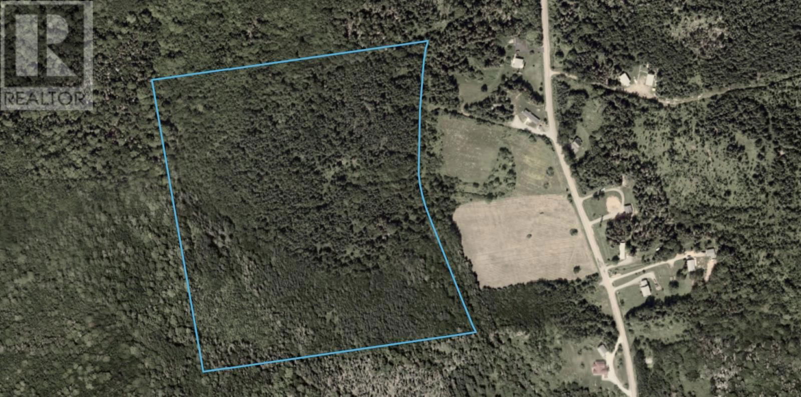 Primary Property View