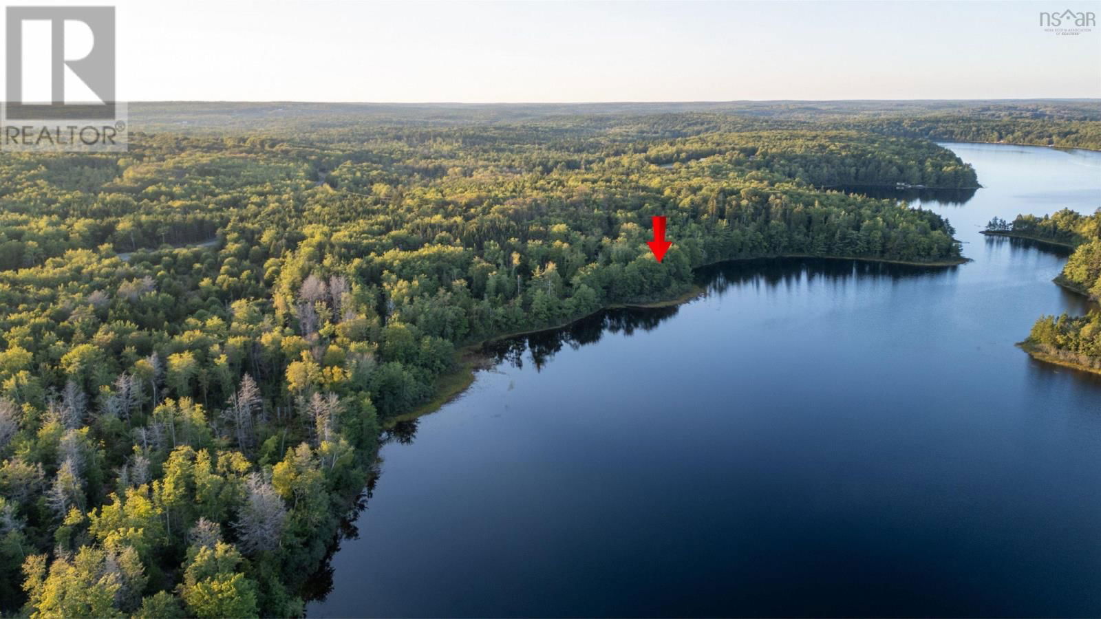 Primary Property View