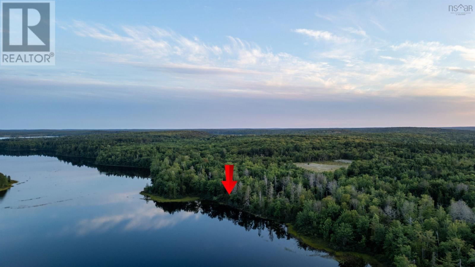 Primary Property View