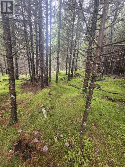 Commercial for Sale in Canada