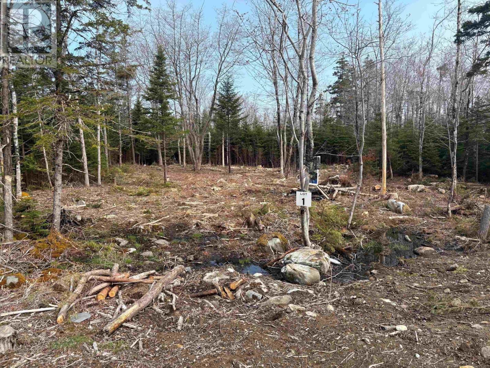 Primary Property View
