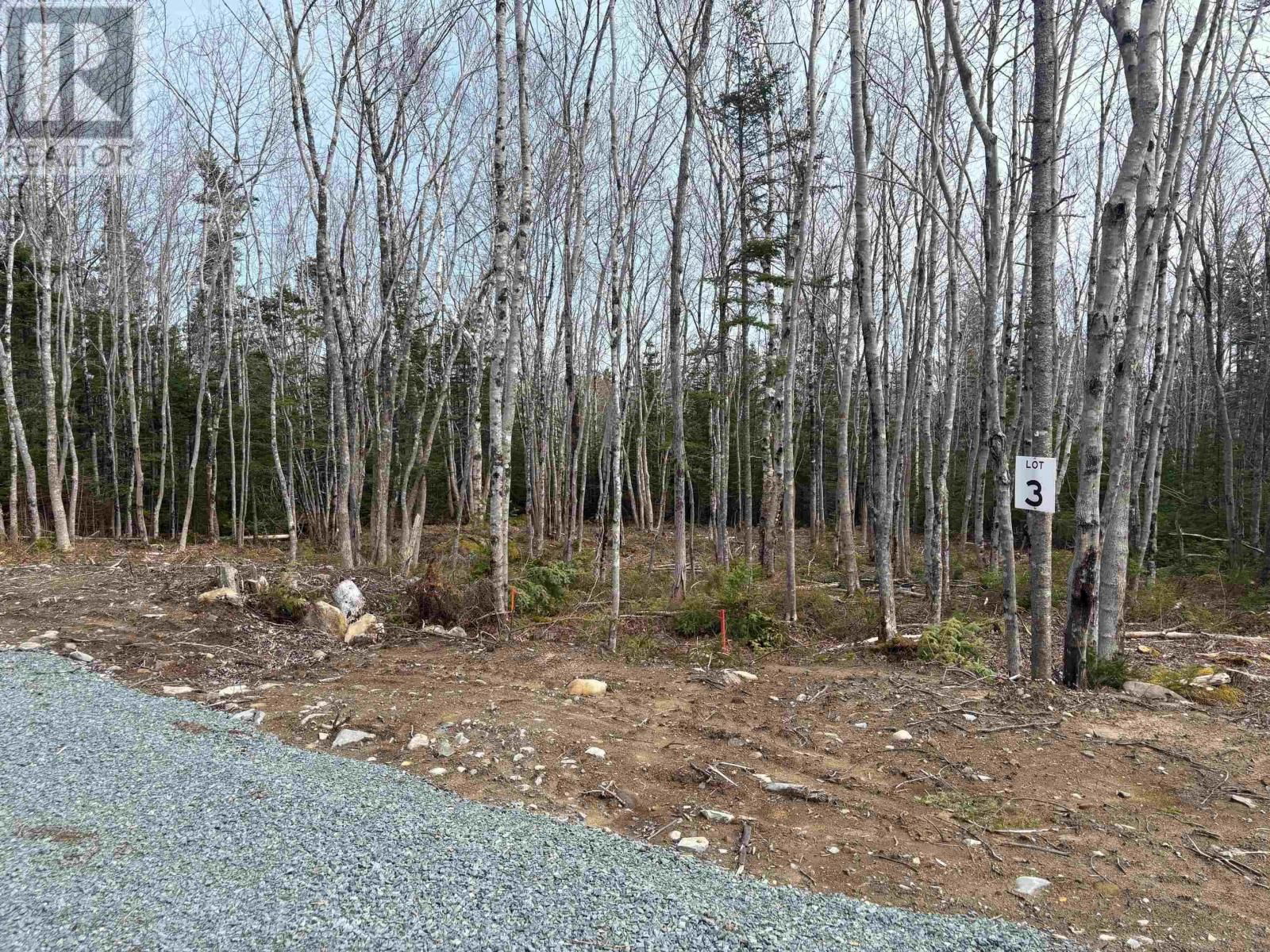 Primary Property View