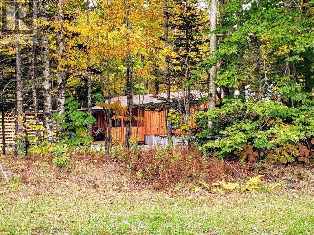 1110 MARGO ROAD Image 8