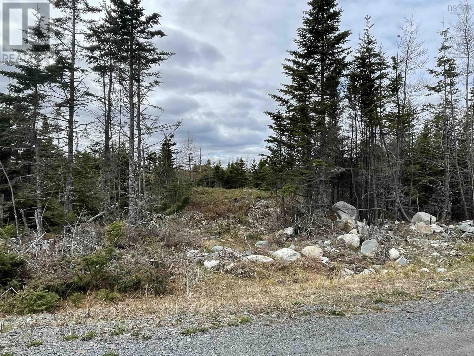 Primary Property View