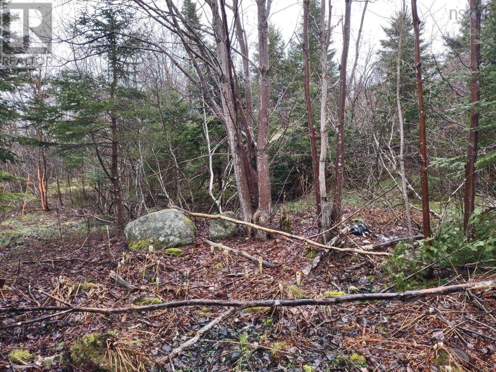 Primary Property View
