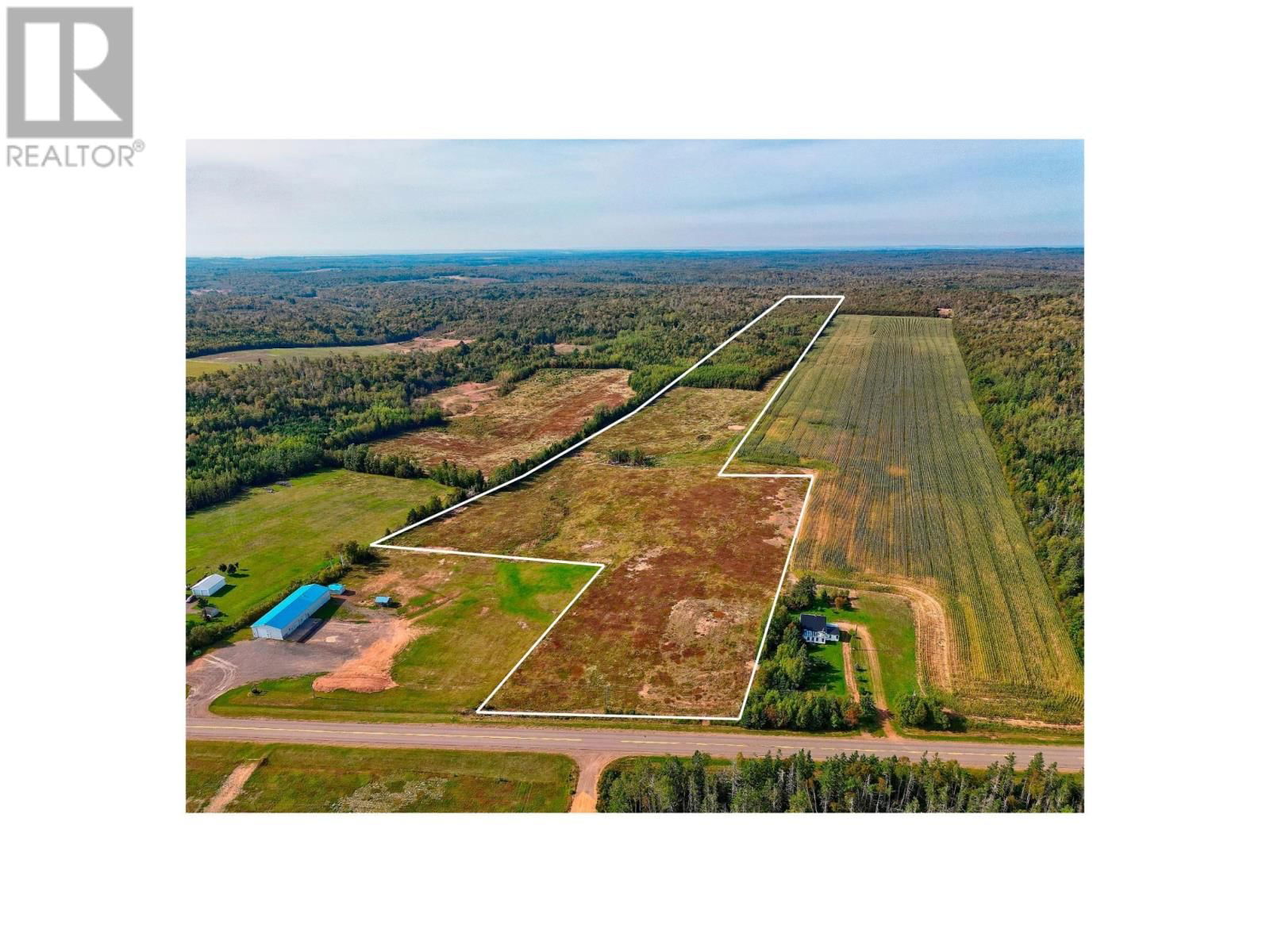 Primary Property View