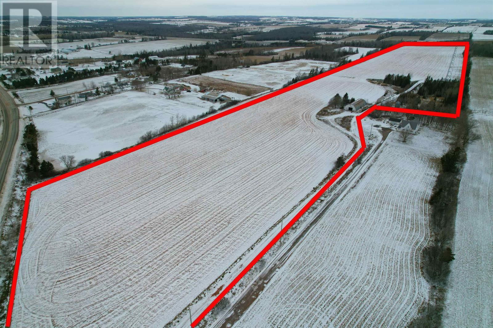 Primary Property View