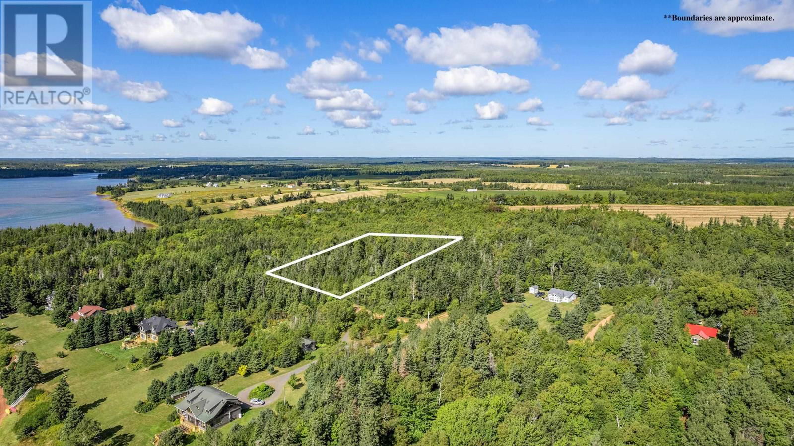 Primary Property View