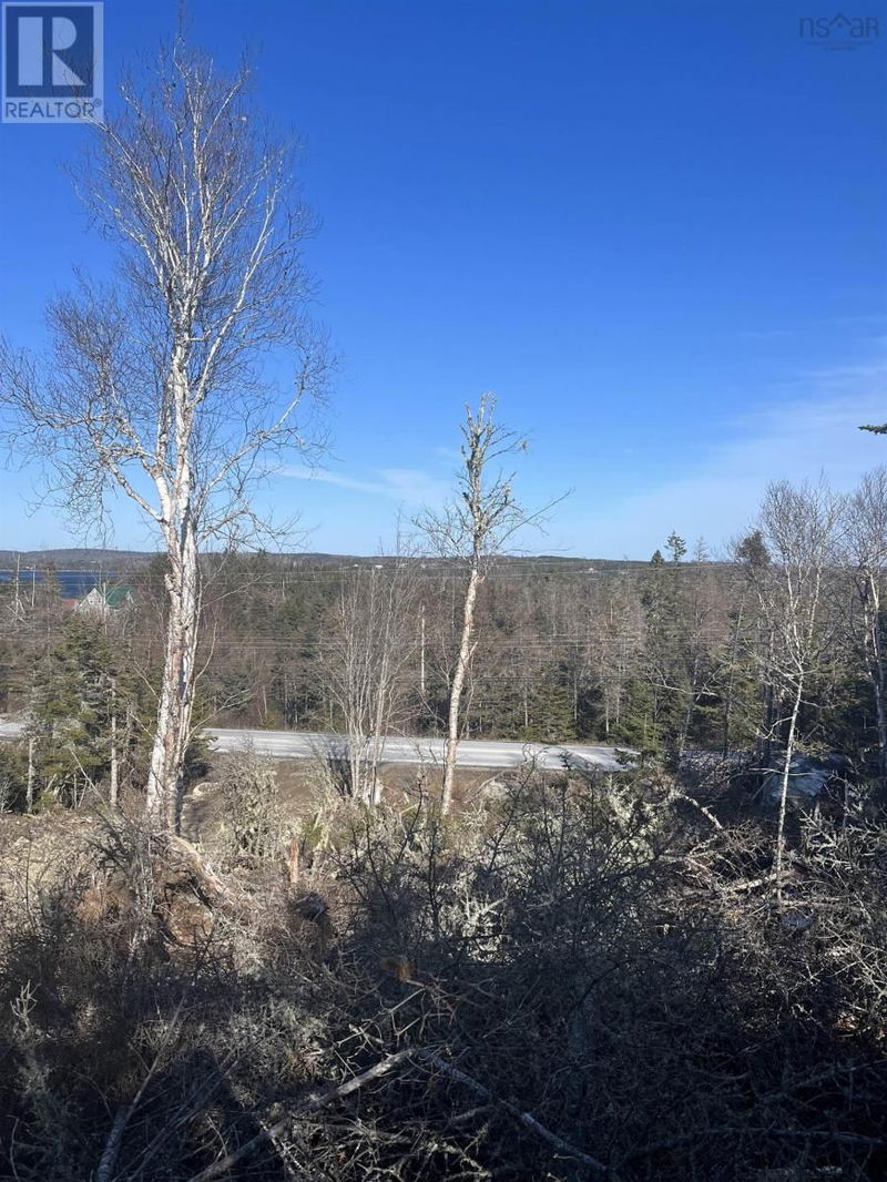 Tertiary Property View
