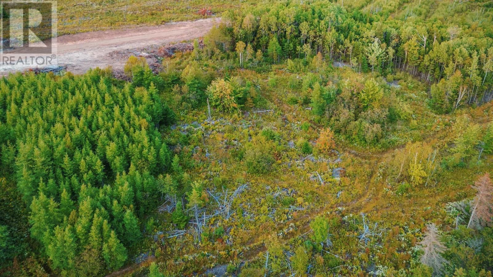 24-3 BLUE GOOSE DRIVE Image 16