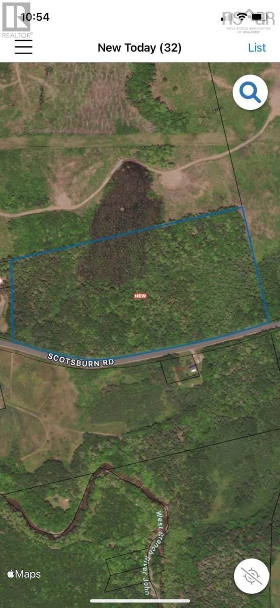 Primary Property View