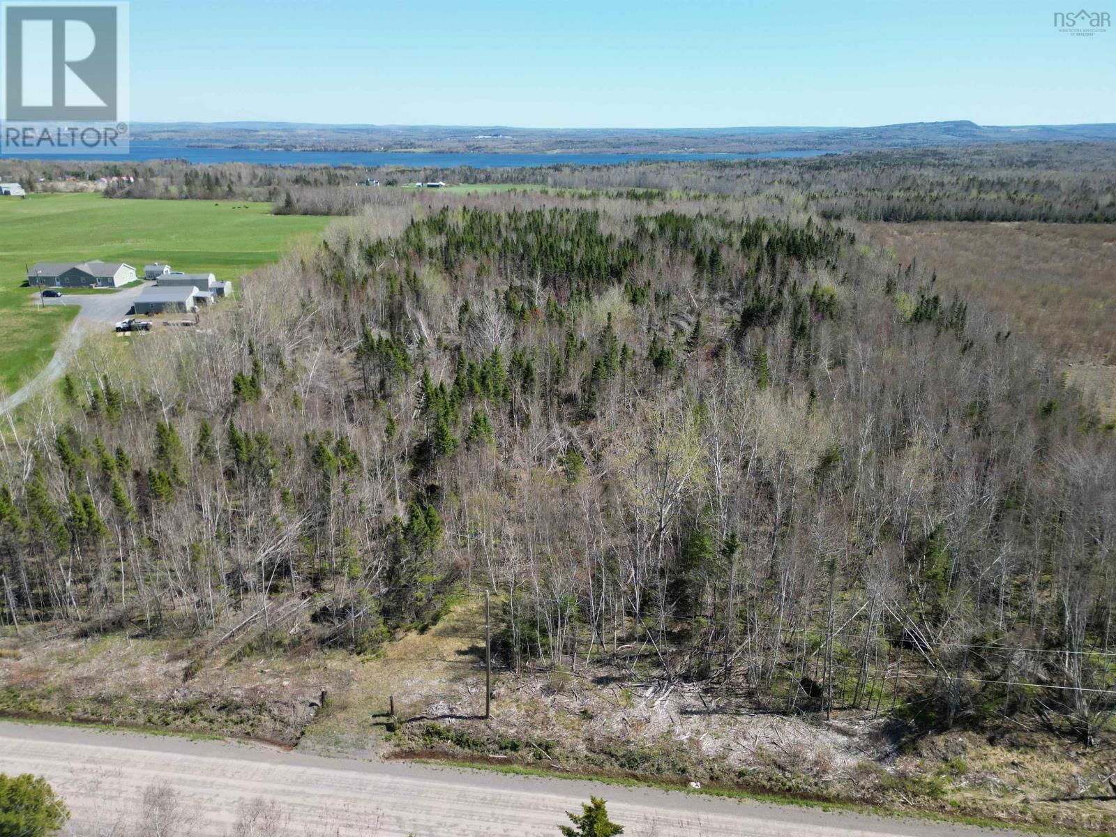Primary Property View