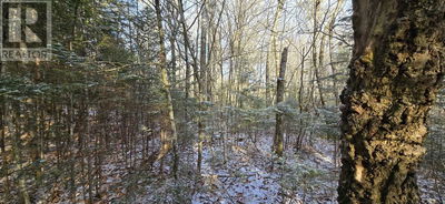 Commercial for Sale in Canada