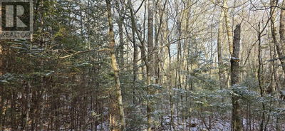 Commercial for Sale in Canada