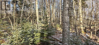 Commercial for Sale in Canada