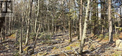 Commercial for Sale in Canada