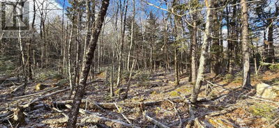 Commercial for Sale in Canada