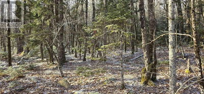 Commercial for Sale in Canada