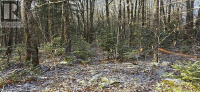 Commercial for Sale in Canada