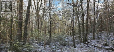 Commercial for Sale in Canada