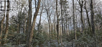 Commercial for Sale in Canada