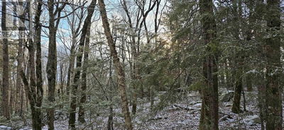Commercial for Sale in Canada