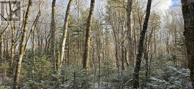 Commercial for Sale in Canada