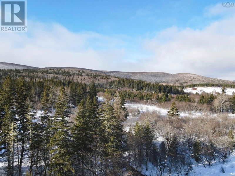 Tertiary Property View