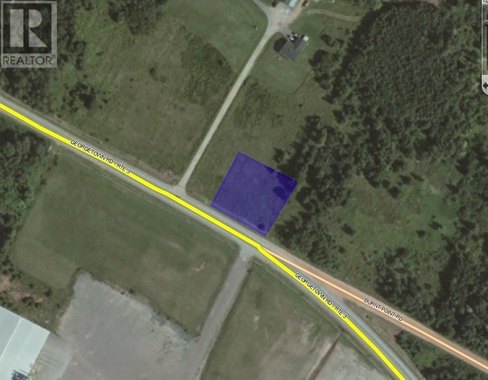 Primary Property View