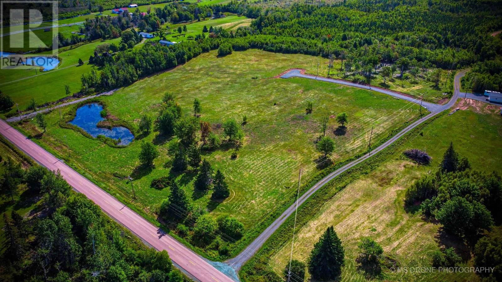 Primary Property View
