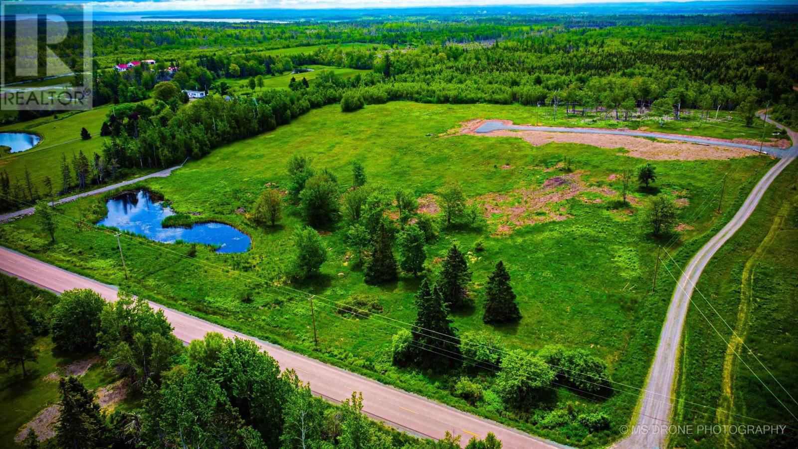 Primary Property View