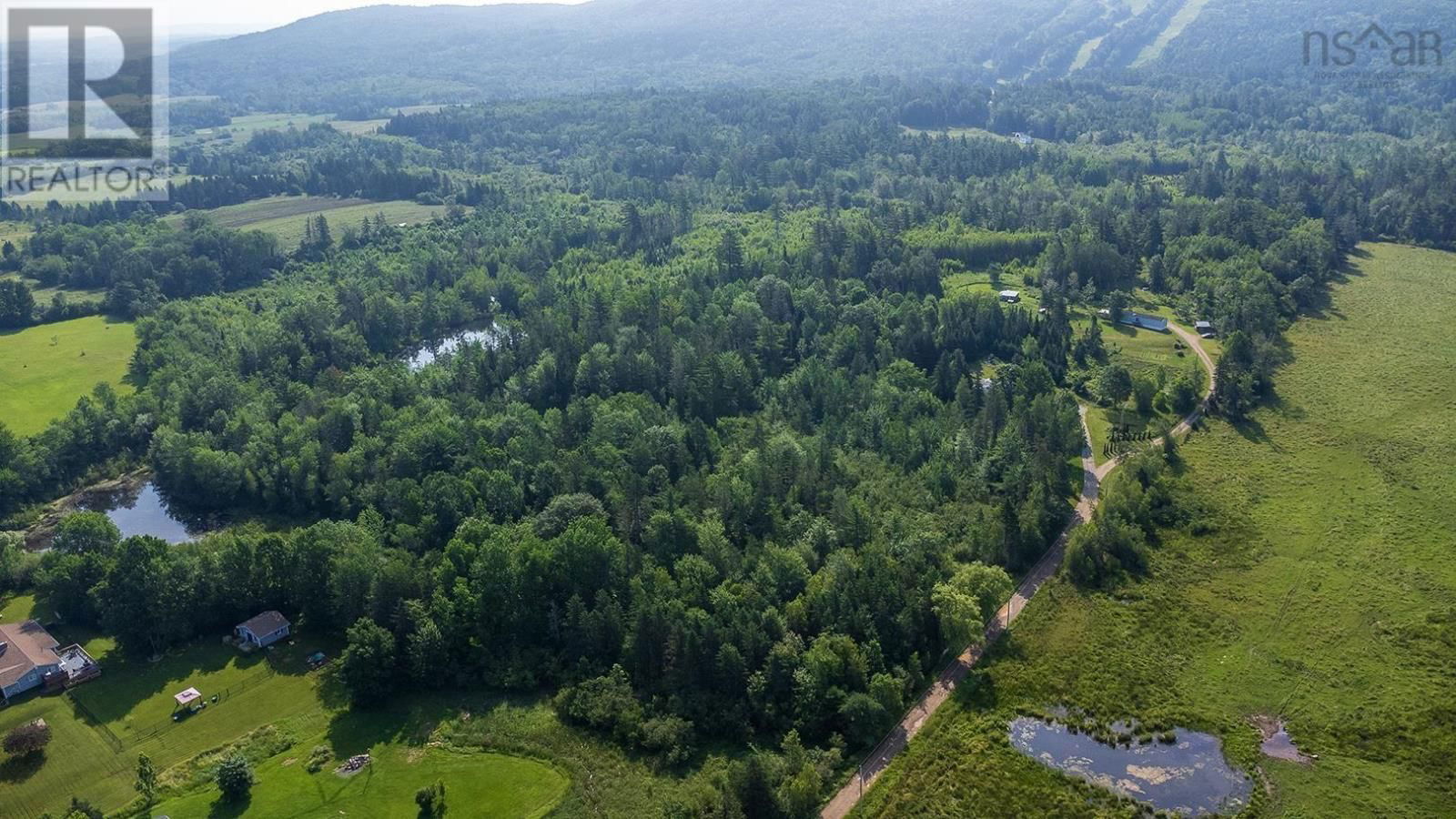 Primary Property View