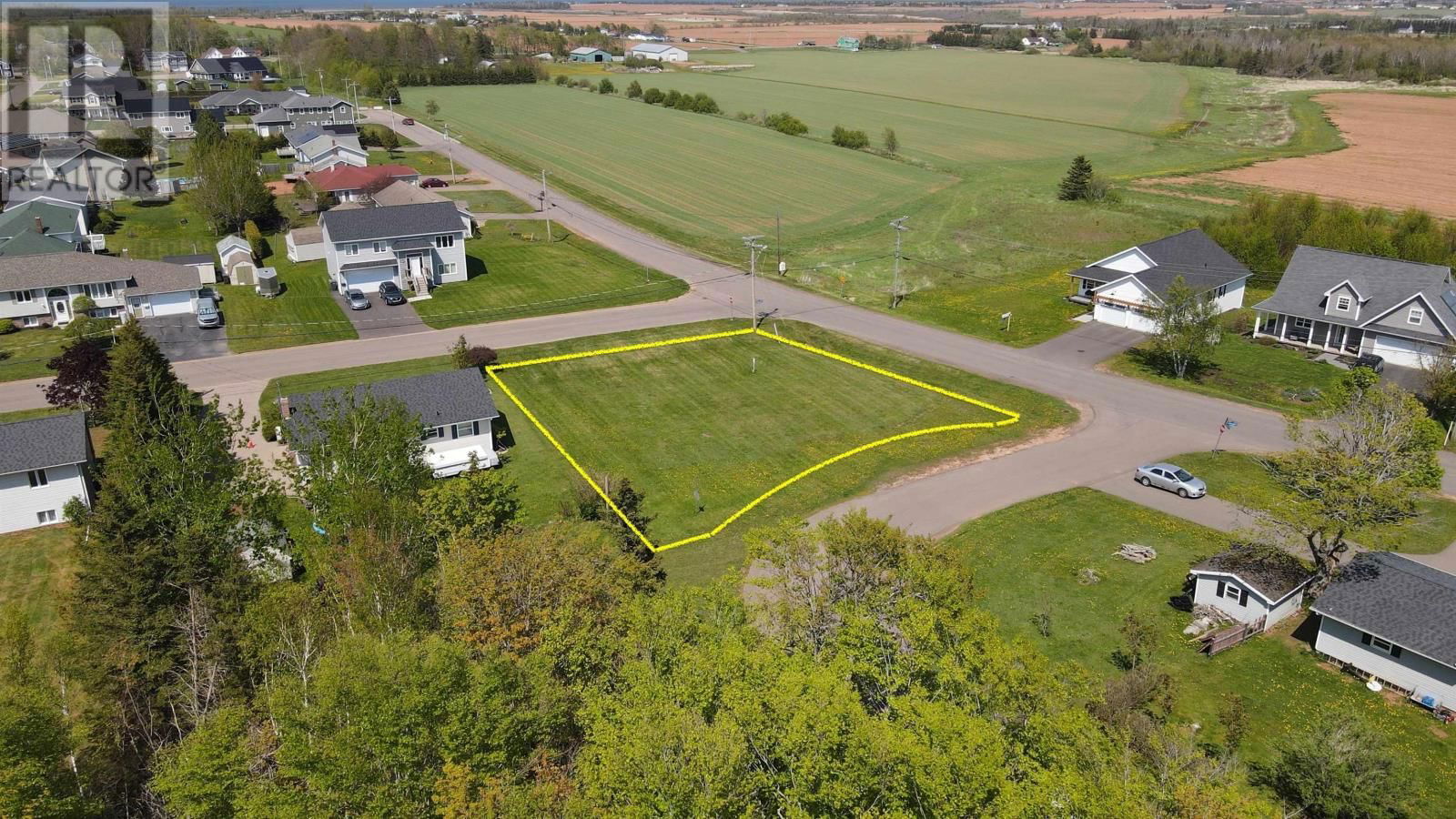 Primary Property View