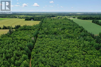 Acreage Birch Lane | Georgetown Royalty Prince Edward Island | Slide Image Fourteen