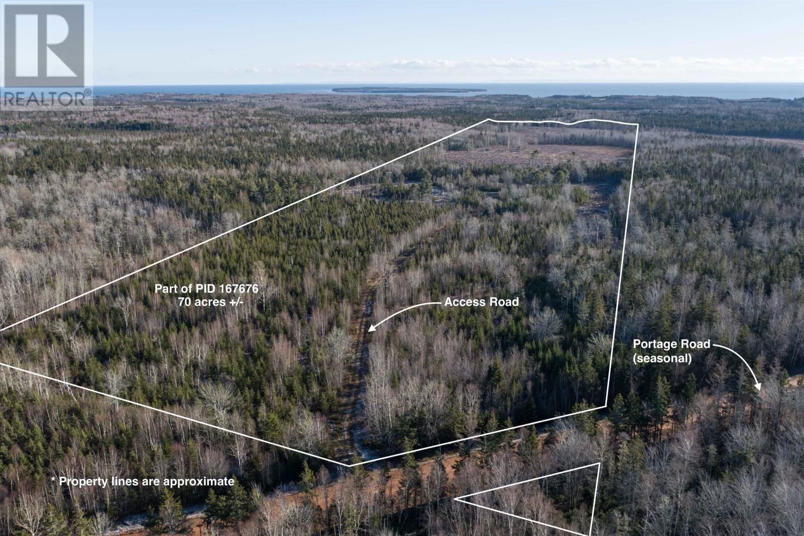 Primary Property View