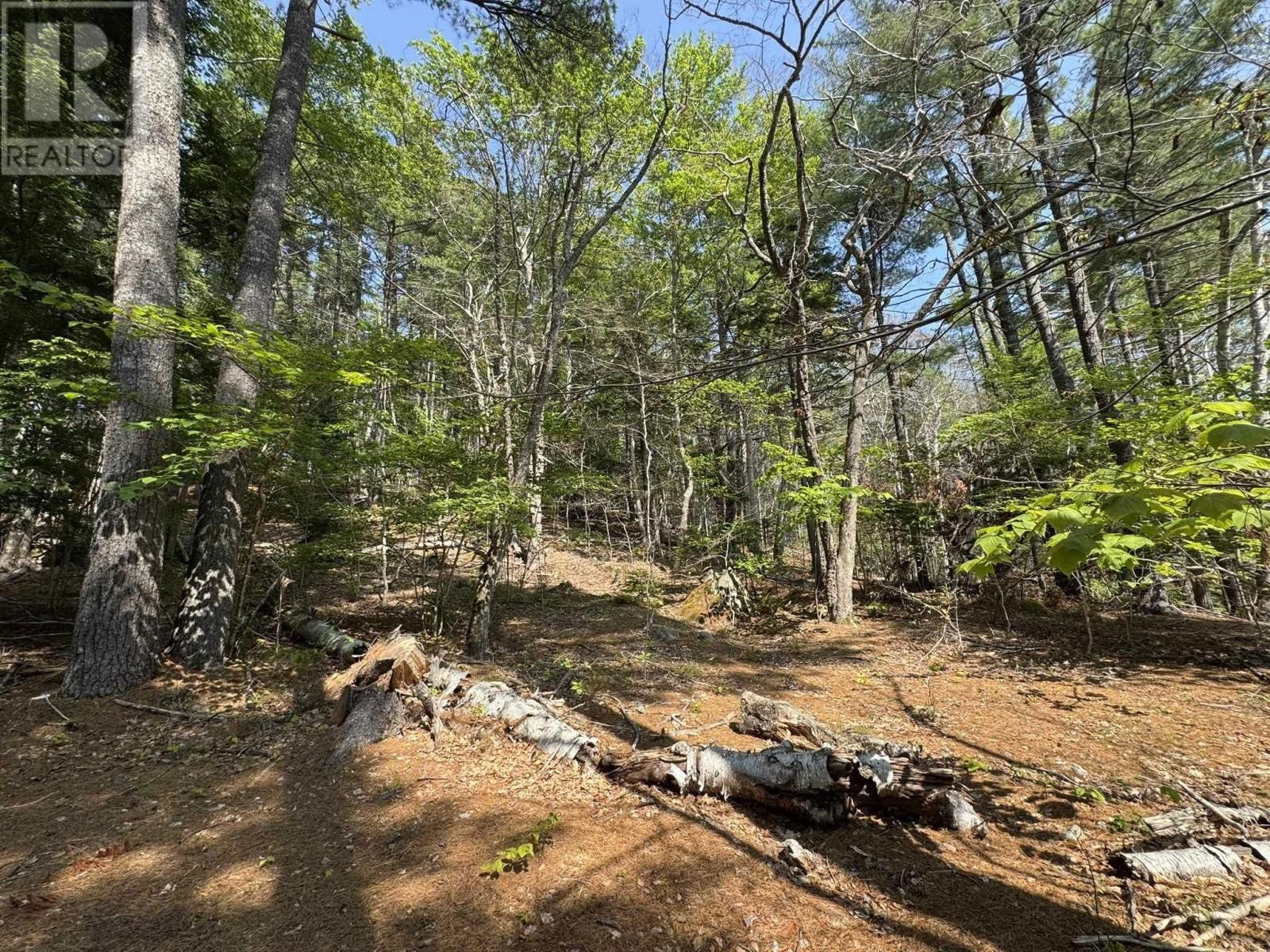 63 GULCH ROAD Image 26