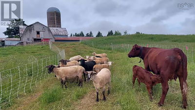 Farms for Sale