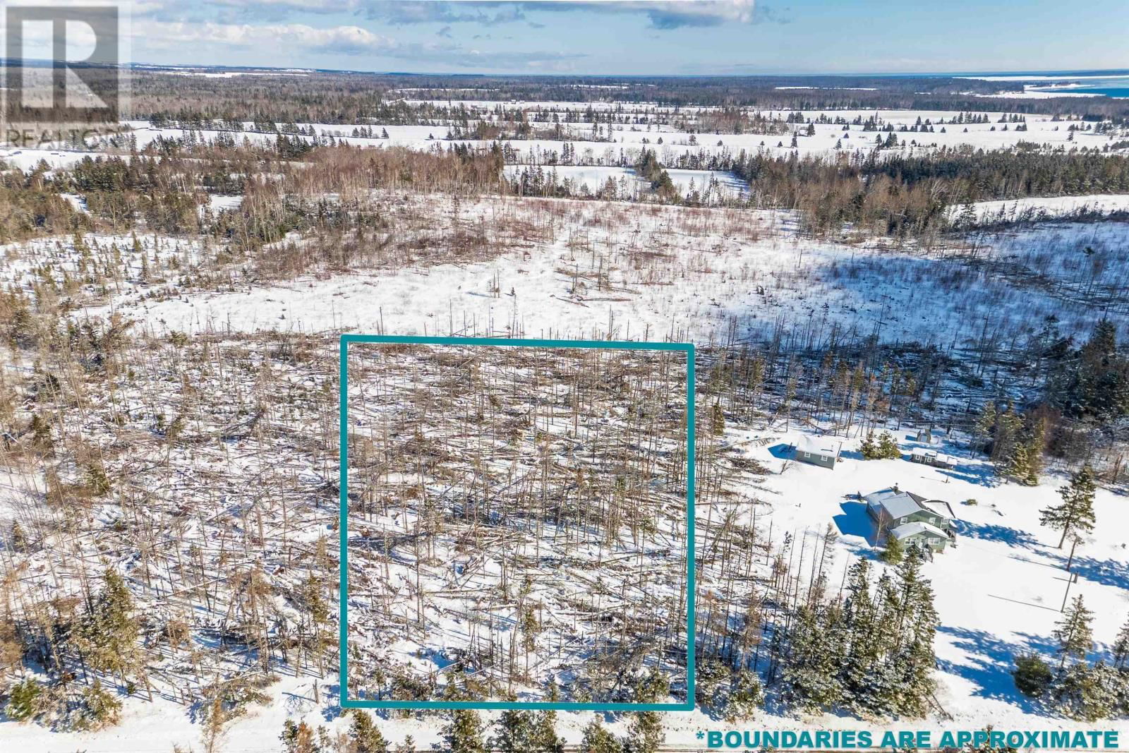 Primary Property View