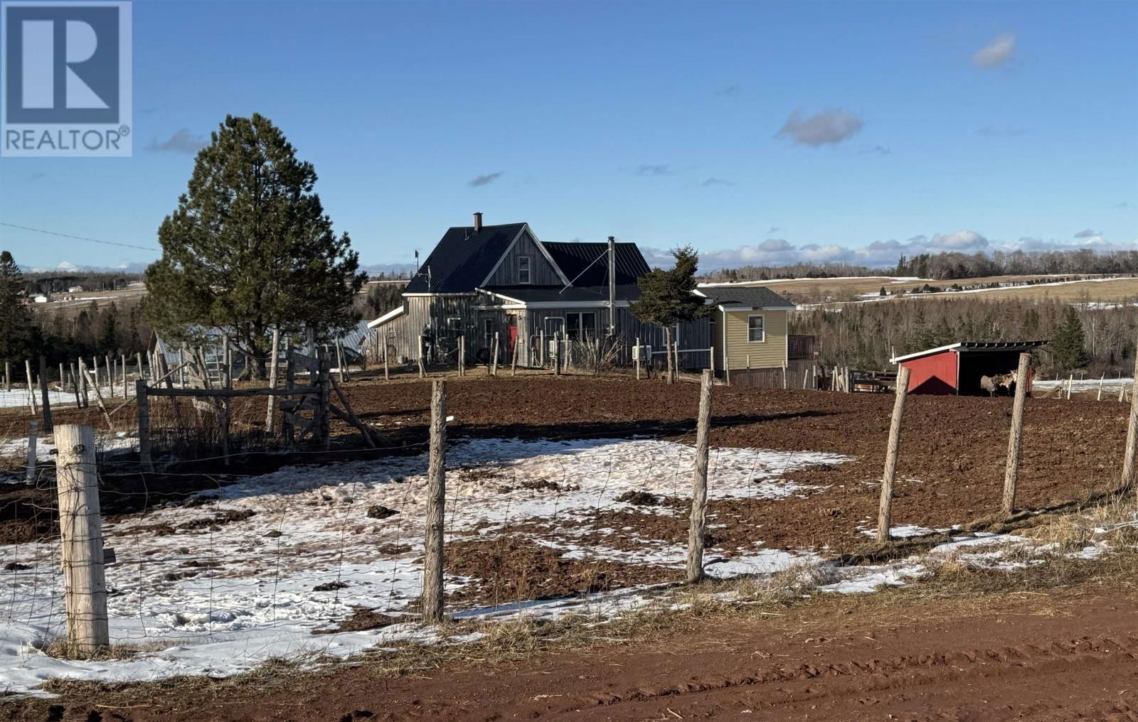 Primary Property View