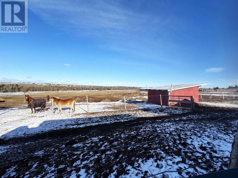 Tertiary Property View