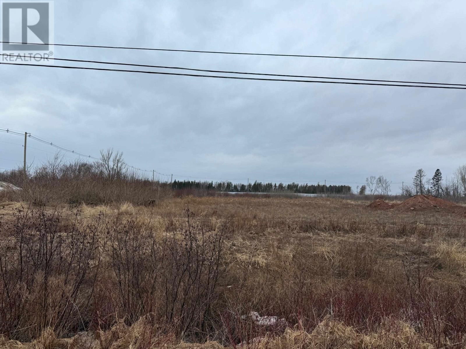 Primary Property View