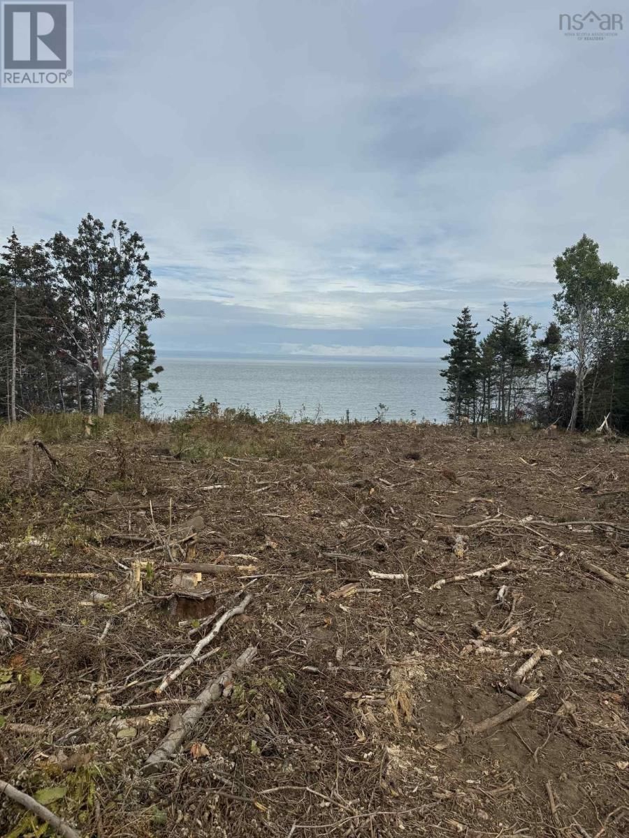 7115 SHORE ROAD W Image 2