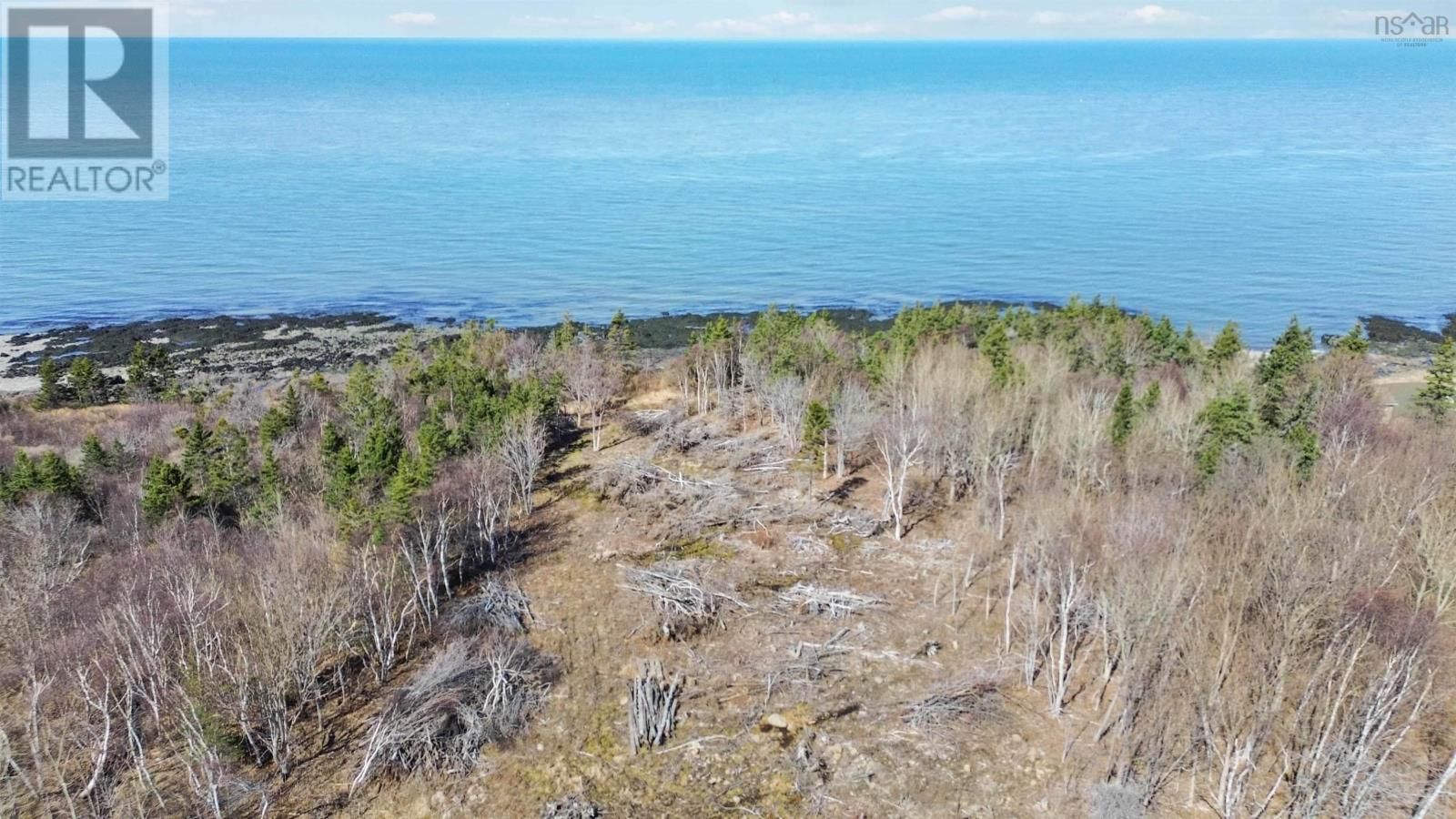 7115 SHORE ROAD W Image 3