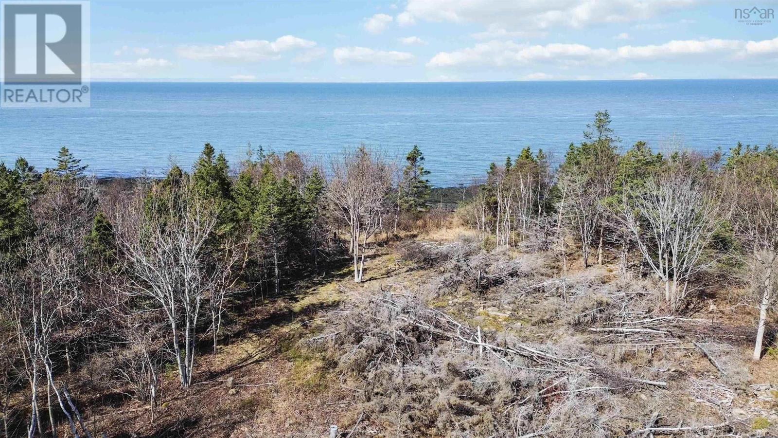 7115 SHORE ROAD W Image 4